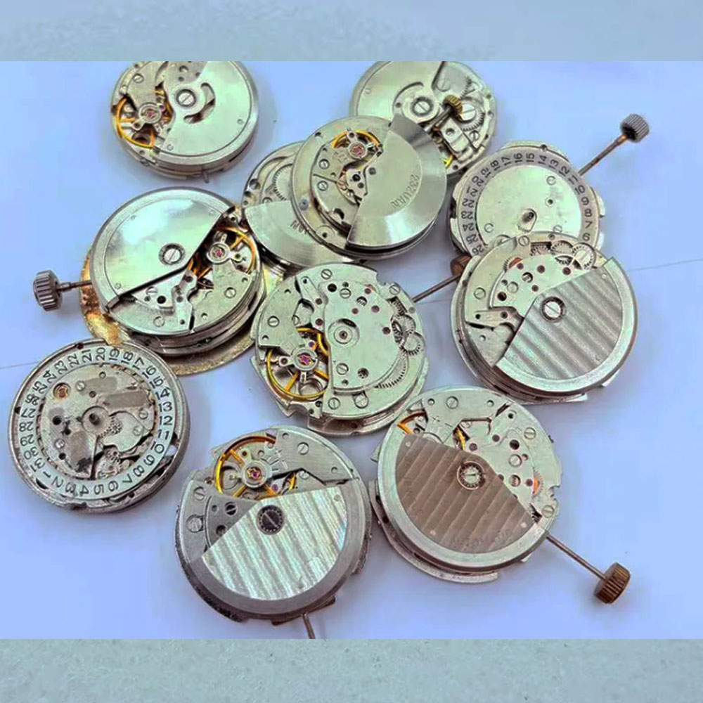Watch accessories, automatic m – Watch Winder Compact recenzja i cena